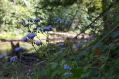 20160830_160705 20160830_160705