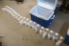 HF Bottles for shipping HF Bottles for shipping